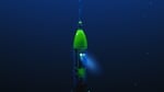 Deepsea_challenger_823491_16